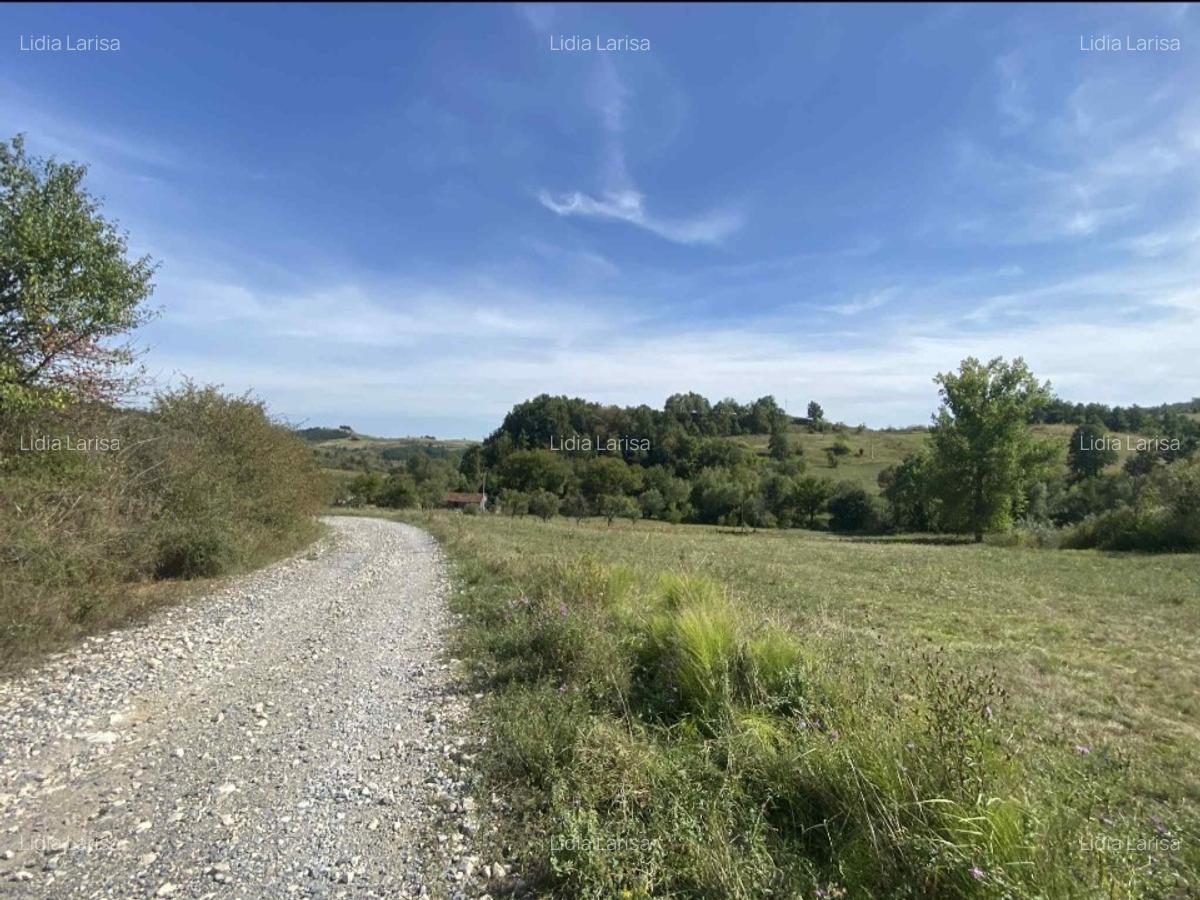 Casa de vanzare+teren - 3