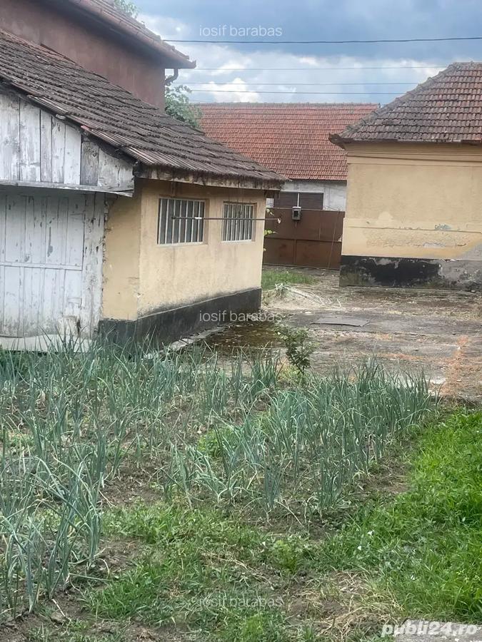 Vand casa - 5