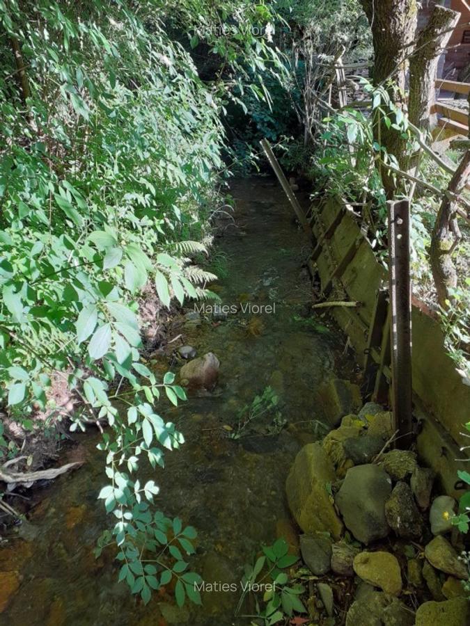 Cabana zona de deal în Apuseni - 4 Cabana zona de deal în Apuseni - 4