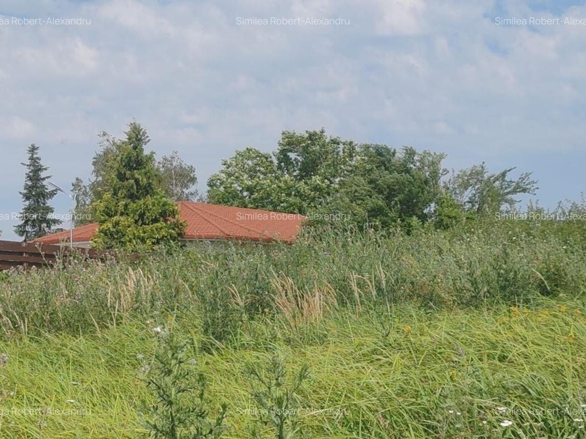 Teren Snagov cu deschidere lac - 4