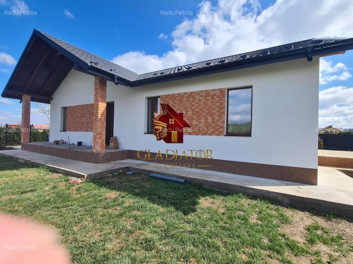 Casa plan parter deosebita, Lunca Cetatuii Ciurea, la asfalt, zona vis - 11