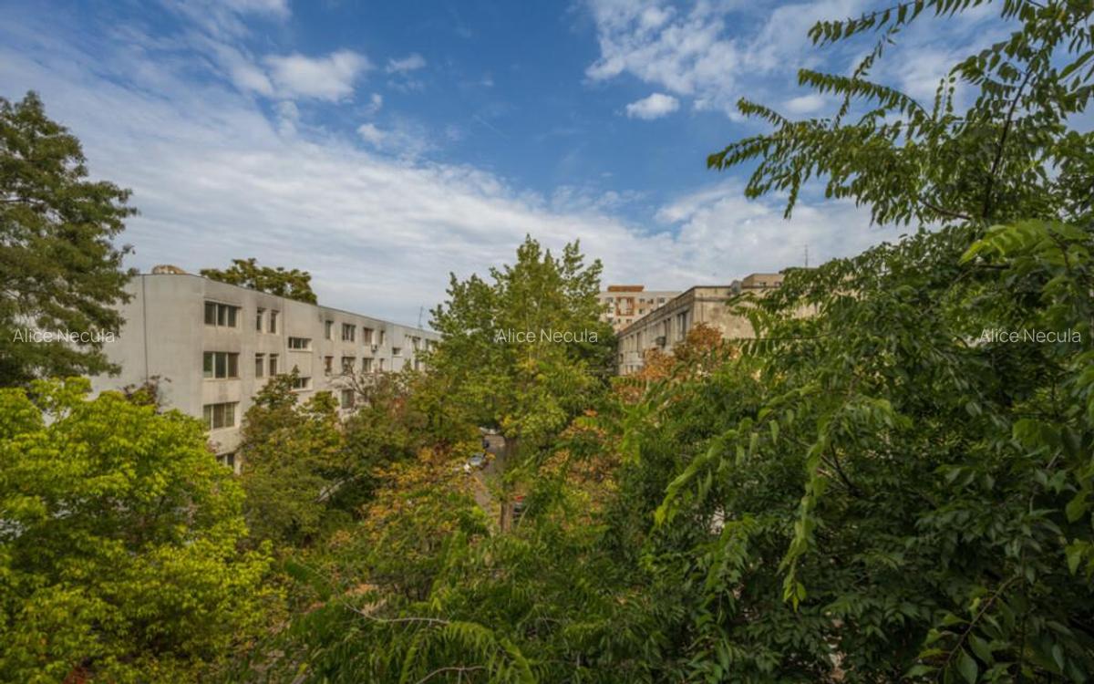 Romancierilor Lunca Cernei, apartament 3 camere decomand - 16