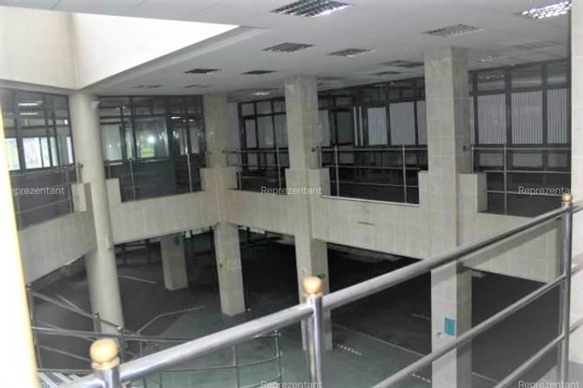 Spatiu comercial 1.825 mp, SATU MARE - 4