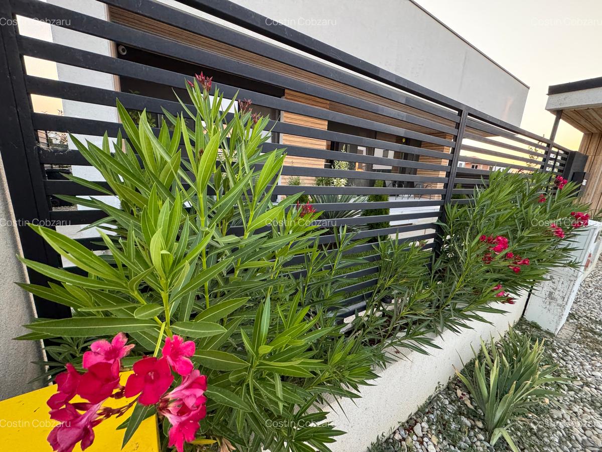 🏡 Casă Premium Parter • 4 Camere • Design Unic • Comuna Berceni - 3