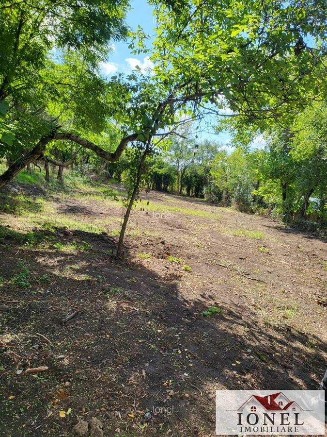 Casa de vanzare in Bihor - comuna Abram - 3