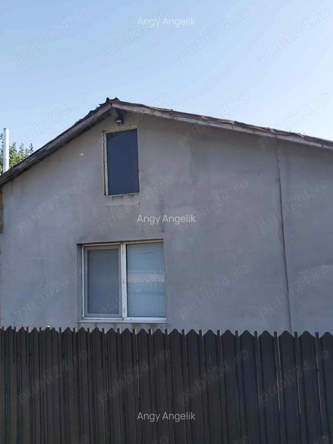 Casa pe pamant de vanzare Valu Traian - 1