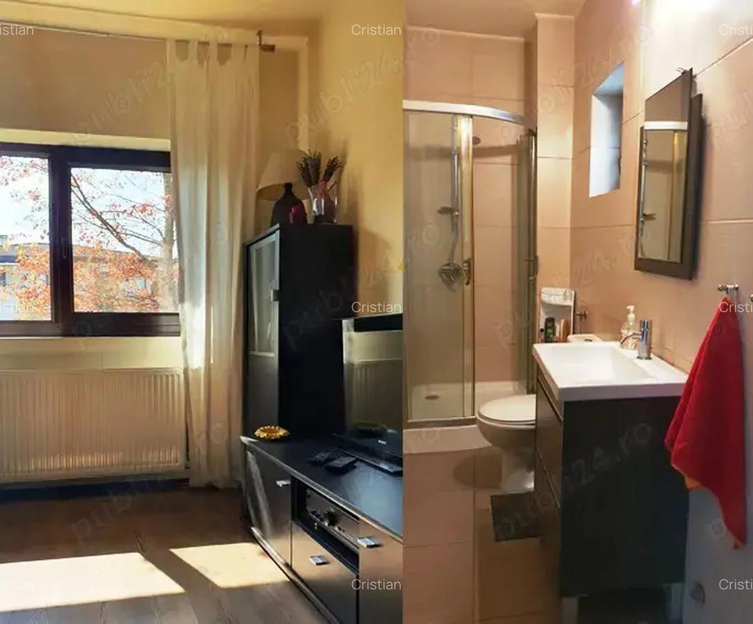 Vila langa Padurea Baneasa, zona Liceul Francez - 8