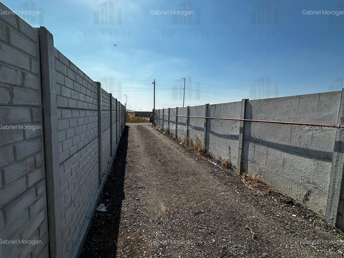 Casa Individuala - Teren 450 mp - Metrou Tudor Arghezi - Cartierul Nou - 12