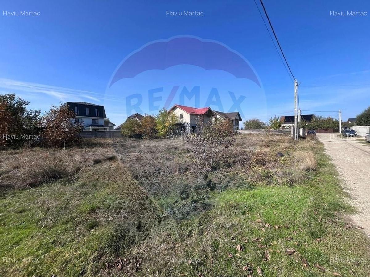 Teren 912mp de vanzare in Berceni / Strada Zanelor (2 loturi) - 2 Teren 912mp de vanzare in Berceni / Strada Zanelor (2 loturi) - 2