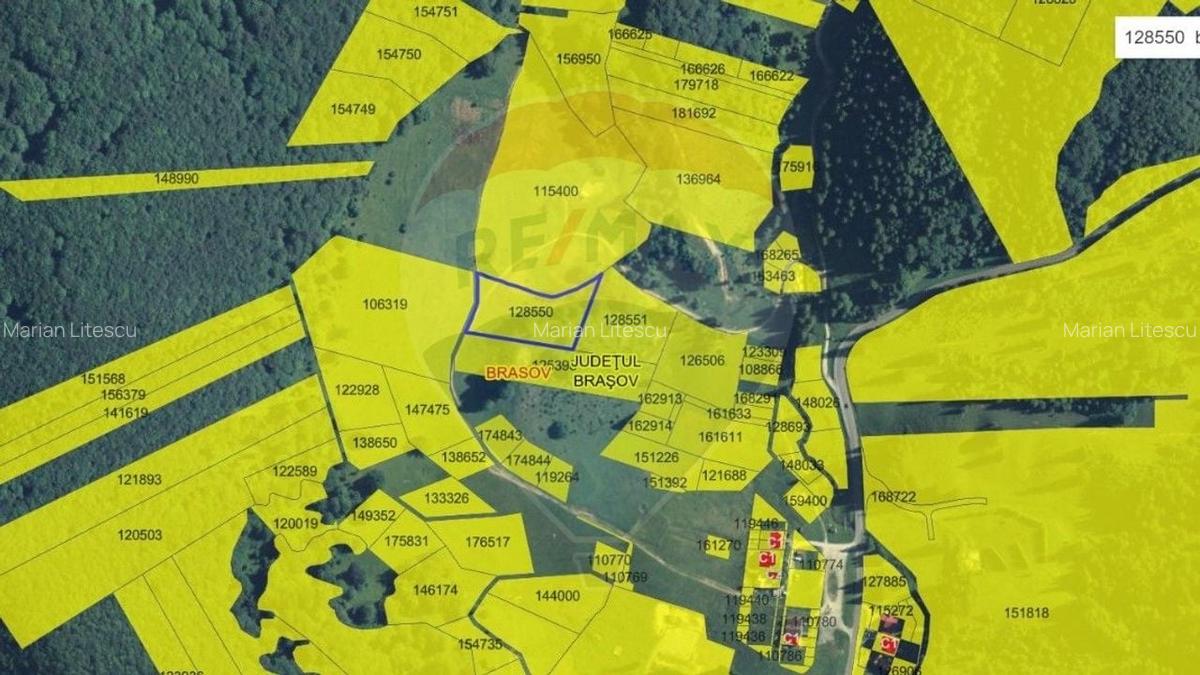 Teren intravilan de 6750 / 13500 mp in Poiana Brasov - 3