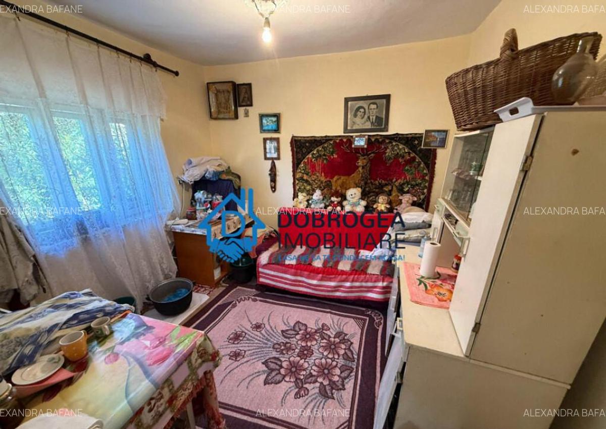 Caslita - teren 513 mp, pomi fructiferi, casa 2 camere - 14