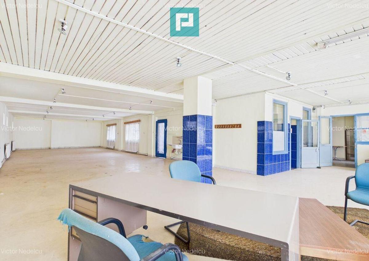 Proprietate multifunctionala central Arad - 17