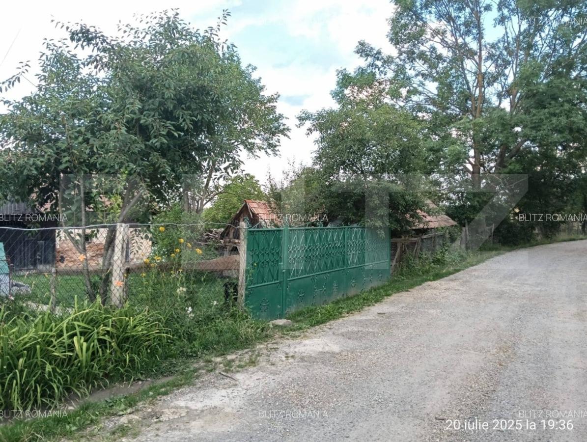 Casa la tara de vanzare, teren de 6000 mp - Cacova Ierii, Comuna Iara, Cluj - 8
