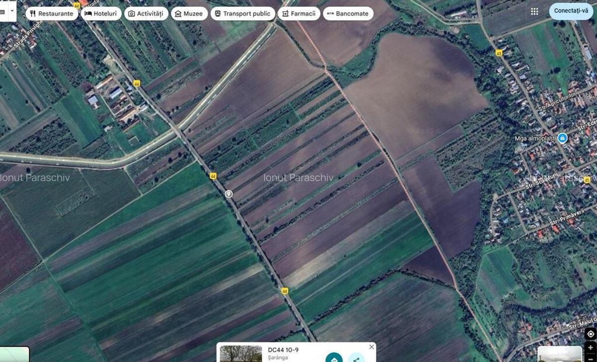 Teren extravilan Pietroasele, ID: R2586802 - 5