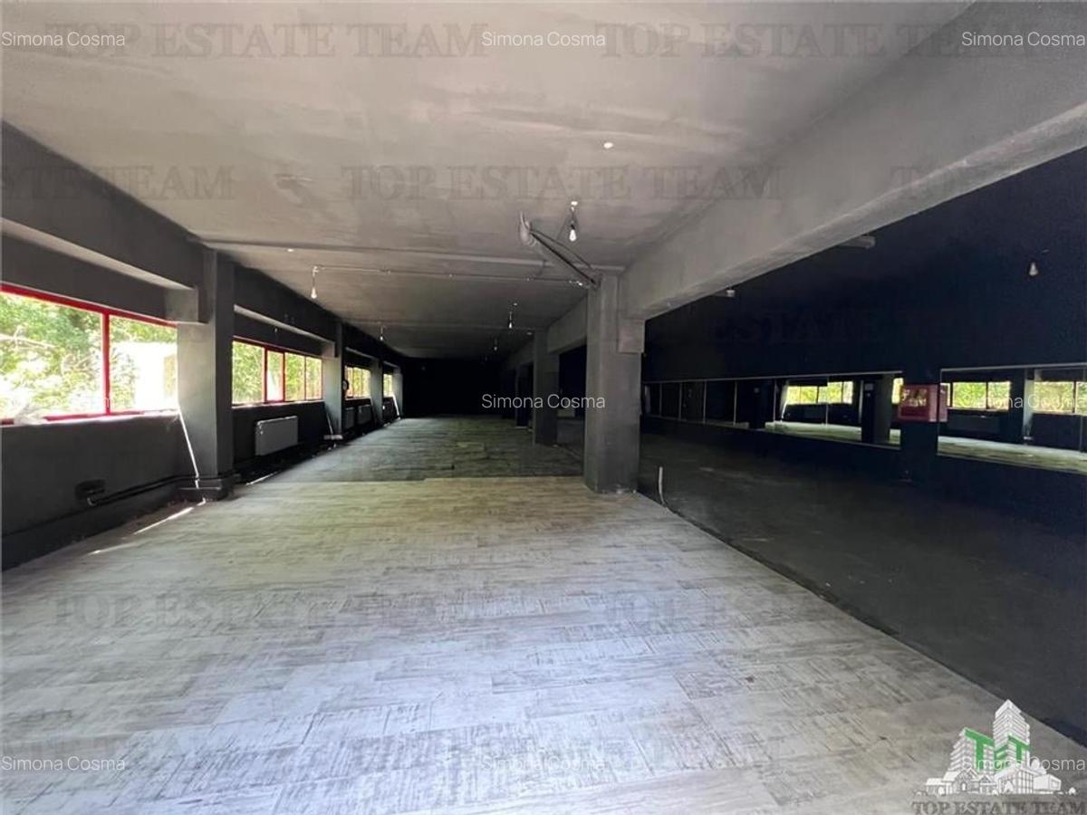 De inchiriat spatii comerciale, hale si birouri - 3