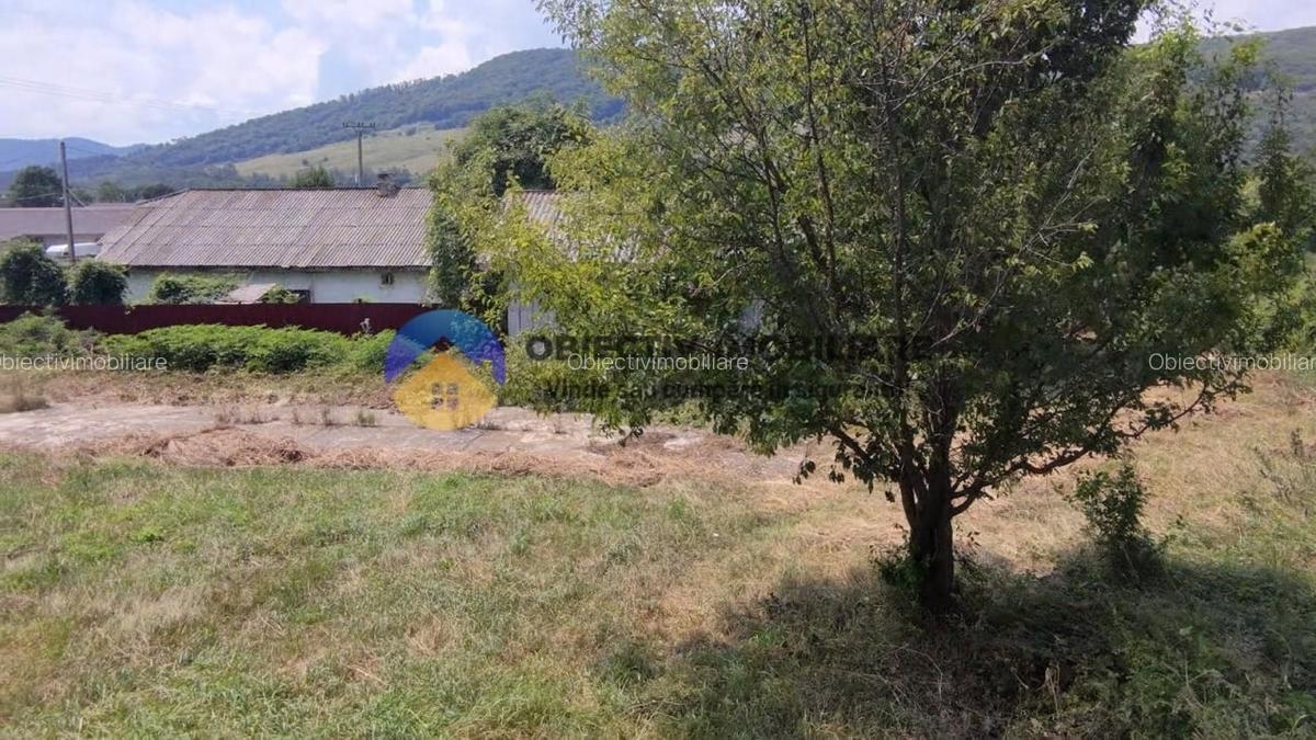 Spatiu industrial de vanzare - hala productie + birouri Piatra Neamt - 11