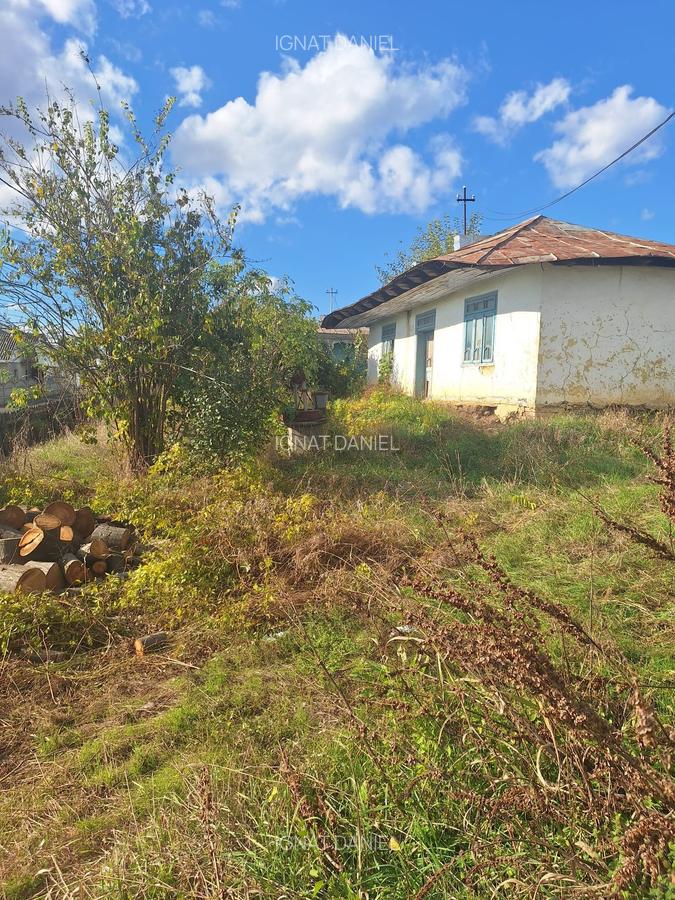 Casă bătrânească cu teren generos de vânzare în Proselnici, Miroslava - 6
