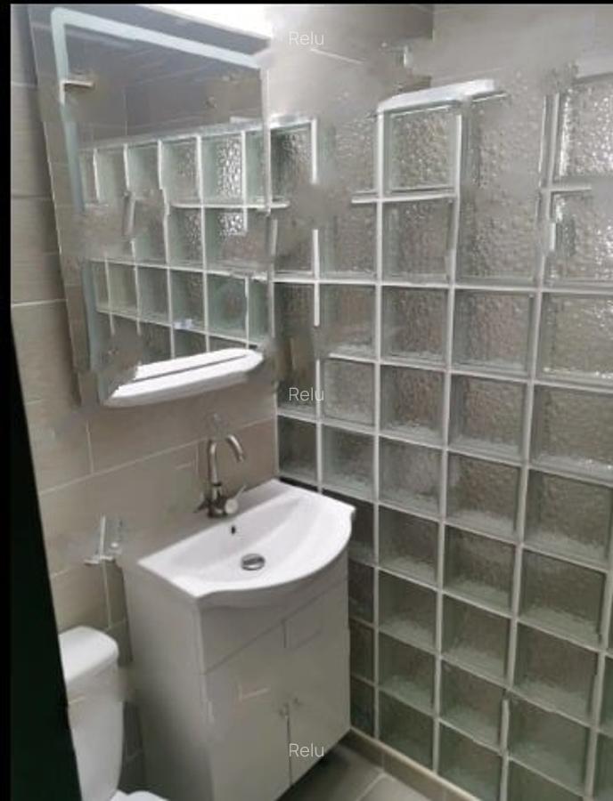 Tineretului,Parc,bl.1984,reabilitat,Amenajat,centrala,2 bai, parcare,mobilat, - 8