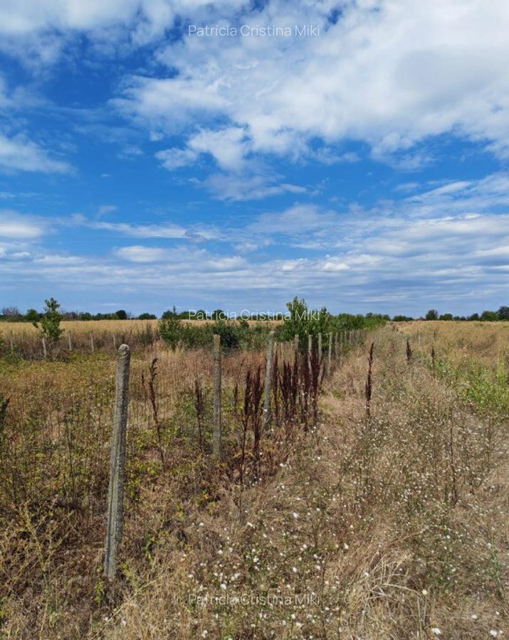 Teren intravilan Vidra Ilfov 3533mp - 6