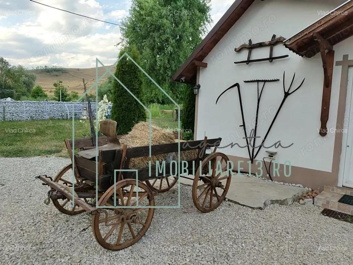 Domeniu, Afacere de vanzare, Sebe?, Alba, balta pescuit, ferma lavanda - 4