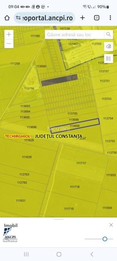 Teren 10000 mp, Techirghiol, langa depozit logistic Dedeman - 4