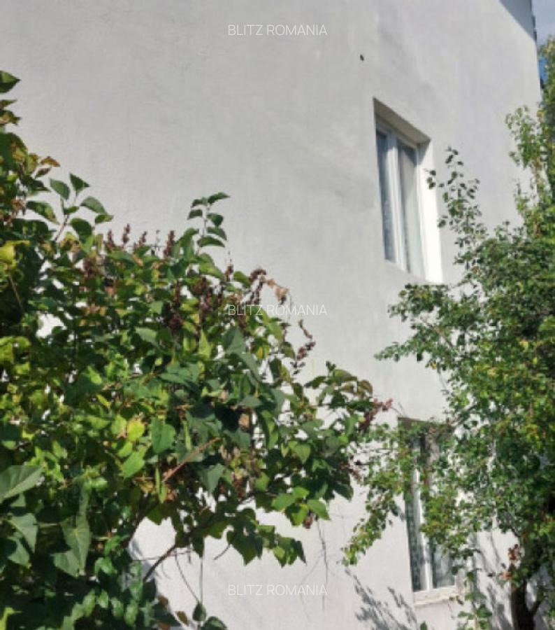 Casa unifamiliala de vanzare zona linistita Sighet - 1 Casa unifamiliala de vanzare zona linistita Sighet - 1