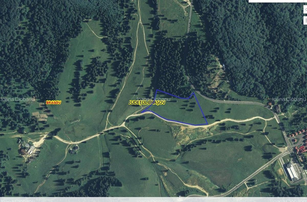 Vand 100.000 mp teren intravilan Poiana Mica - dezvoltari imobiliare - 6