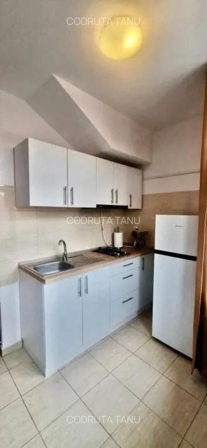 Inchiriere garsoniera cocheta, zona Blumana - 9