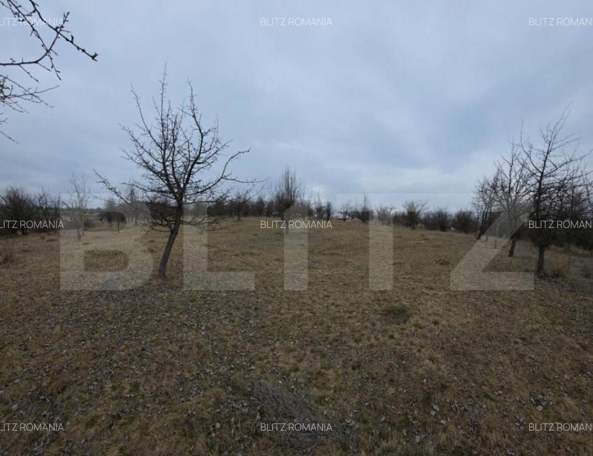 Teren extravilan de vanzare, 900 mp, Bistrita - 7