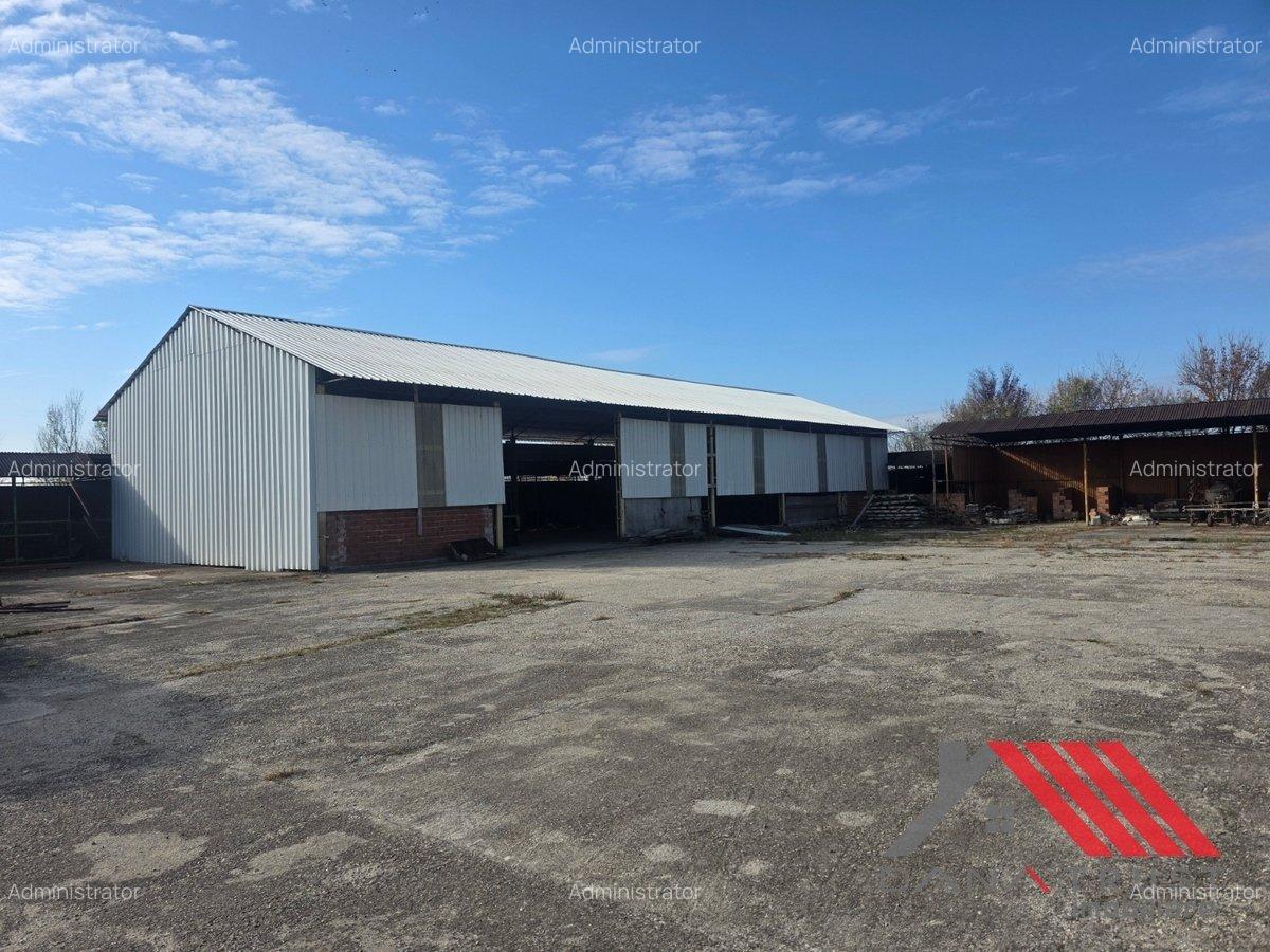 Cheveresul Mare – Platforma betonata, Hala - 1