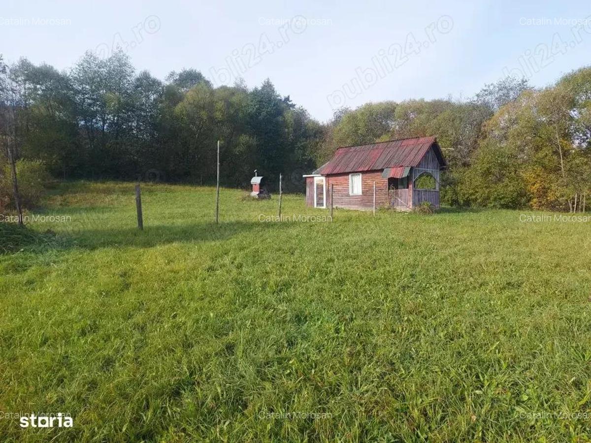 Spre vanzare proprietate 4688 mp in Campulung Moldovenesc - 10
