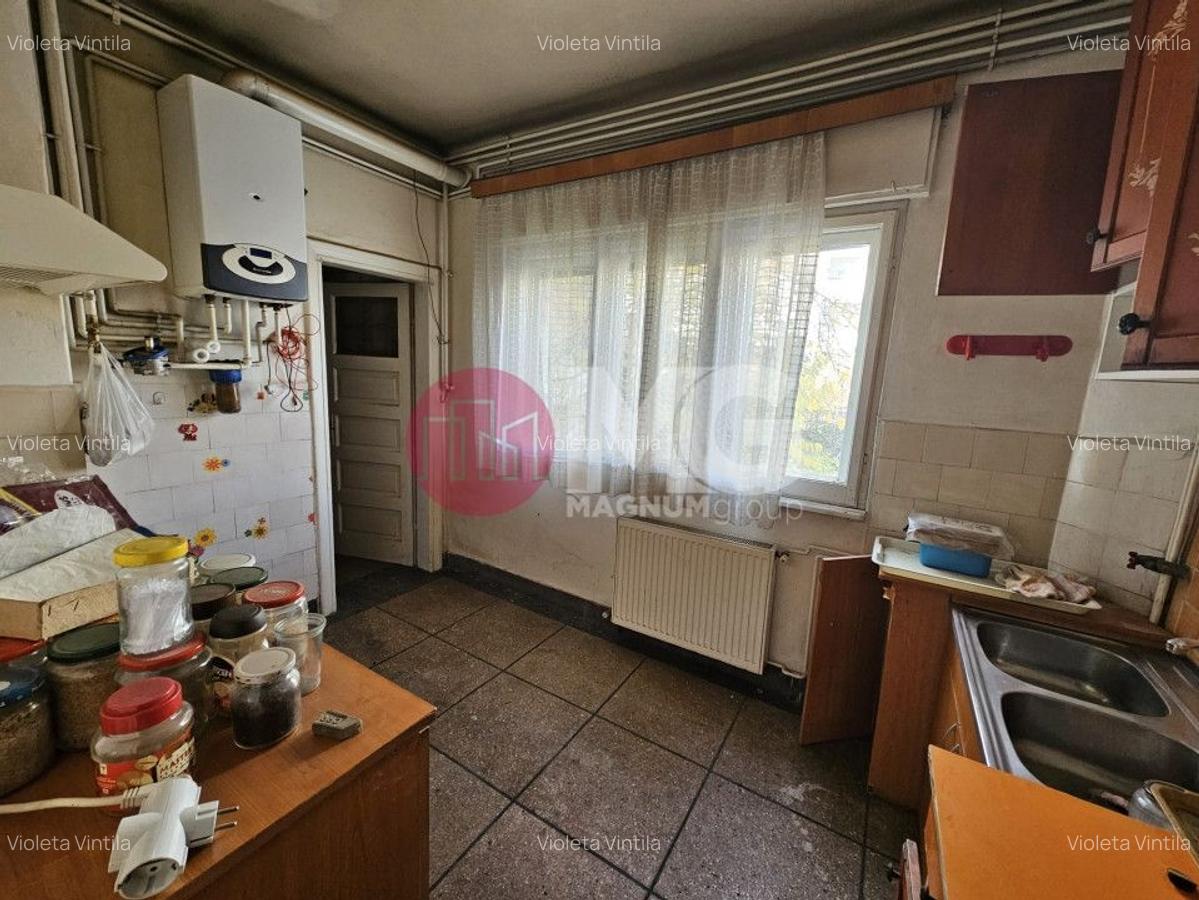 Matei Voievod, vila individuala de vanzare - 11