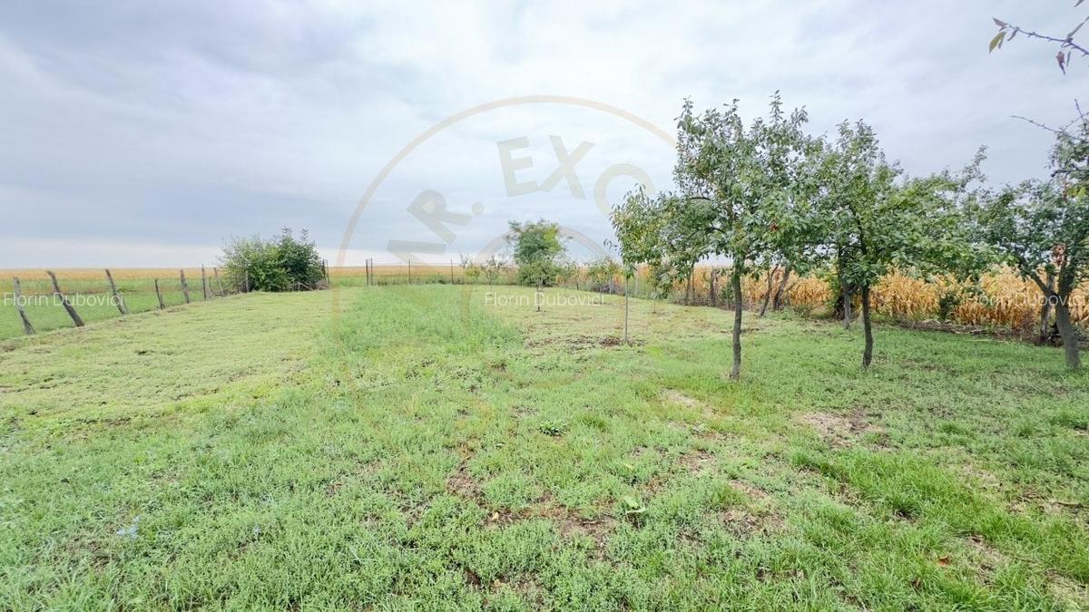 Casa 2 camere, Teren 1525 mp Loc. Tiream , Str. Coloniei Nr.44-Jud. Satu Mare - 10