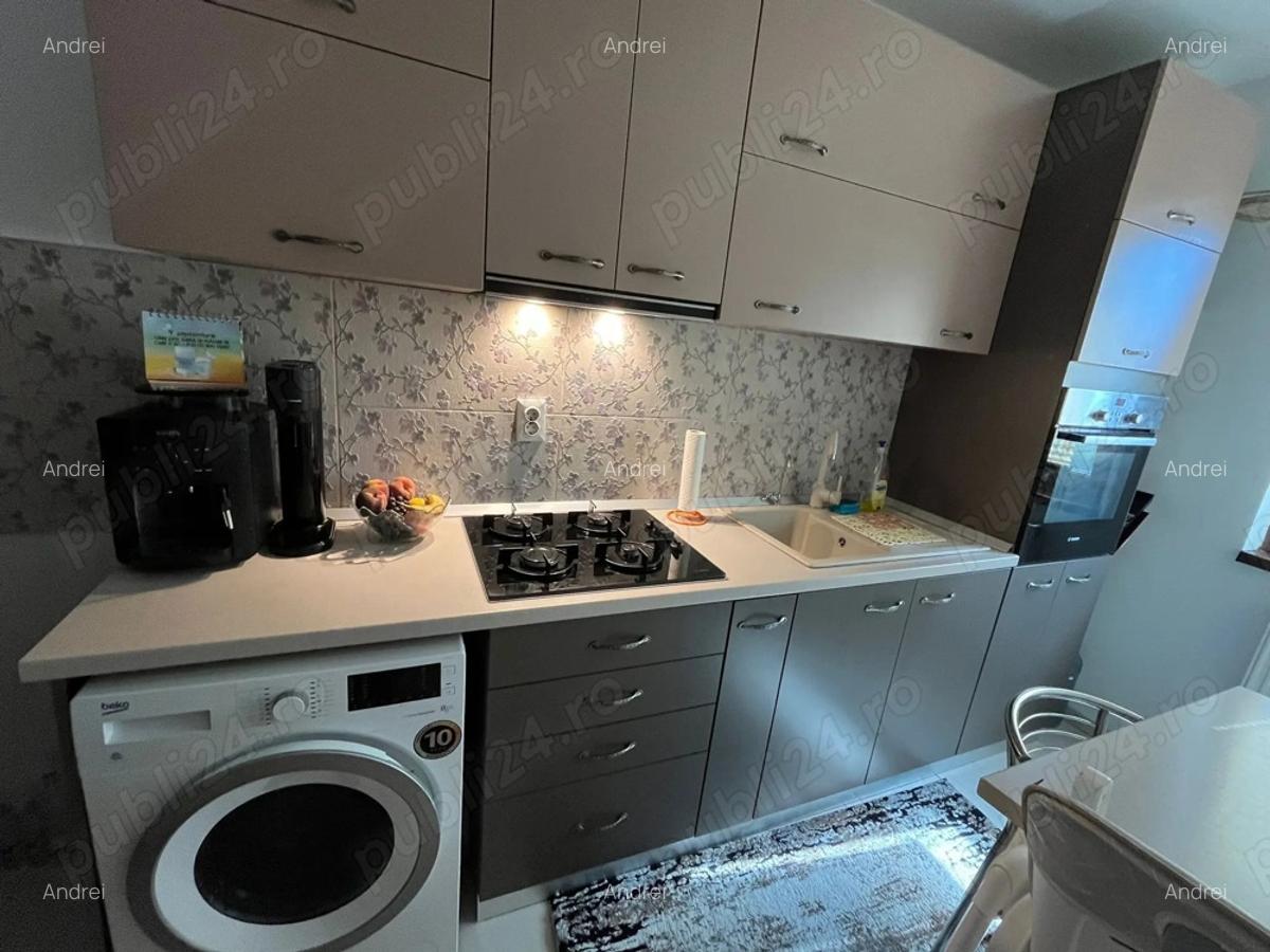 Apartament 1 camera Bucium (Lidl) - 4