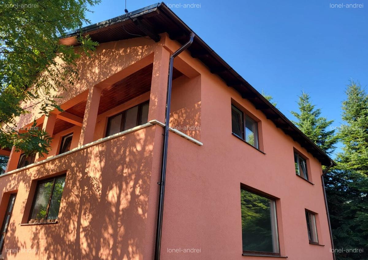 Vila Grandioasa Sacele, Brasov - 2