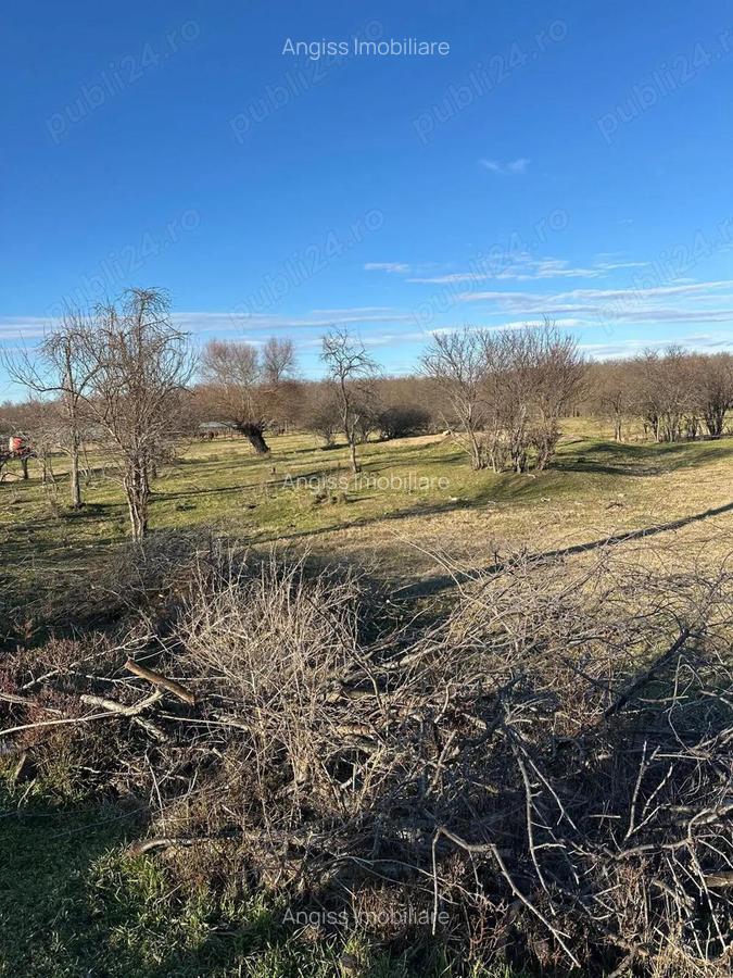 Teren intravilan in Delta -loc BALTENII DE JOS - 8