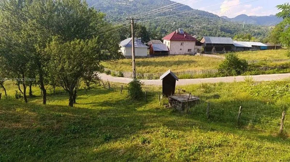 Super oferta! Teren 4874 mp in Arefu jud Arges - 1