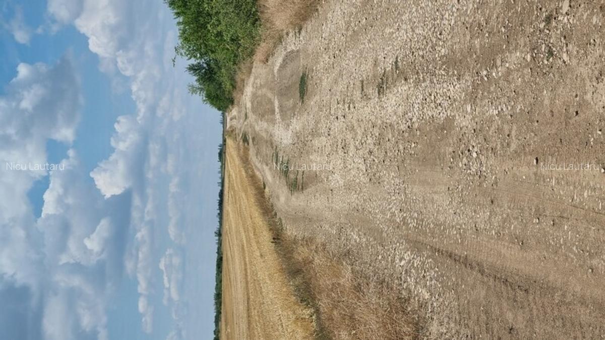 Vanzare Teren intravilan Balotesti Saftica 10000mp - 3