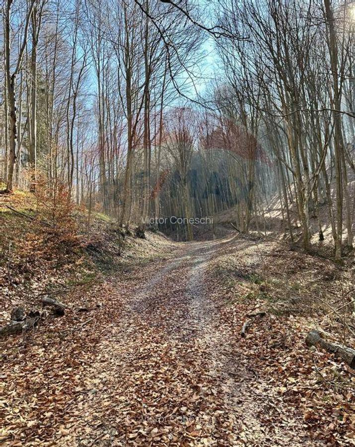 Teren de vanzare 53,723mp Codlea / Nord-Vest - 15