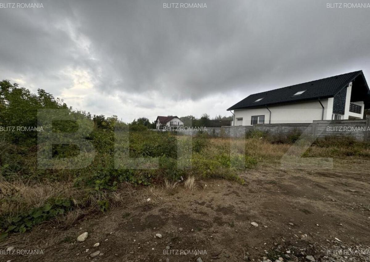 Teren intravilan Carcea Pelendava, 1000 mp cu autoriza?ie d - 6 Teren intravilan Carcea Pelendava, 1000 mp cu autoriza?ie d - 6