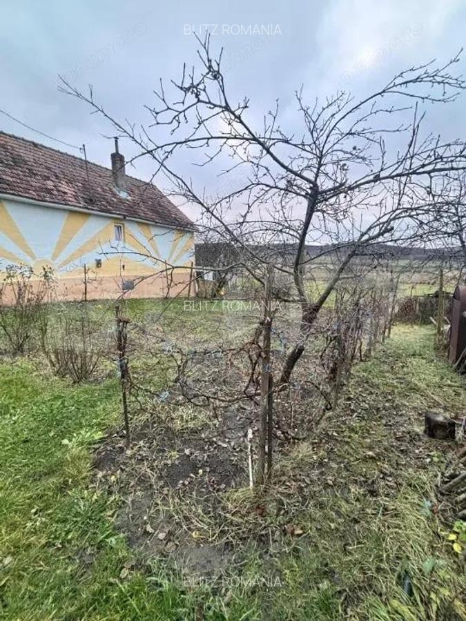 Casa tradi?ionala batraneasca in Galatii Bistri?ei, cu teren generos ?i anexe - 17