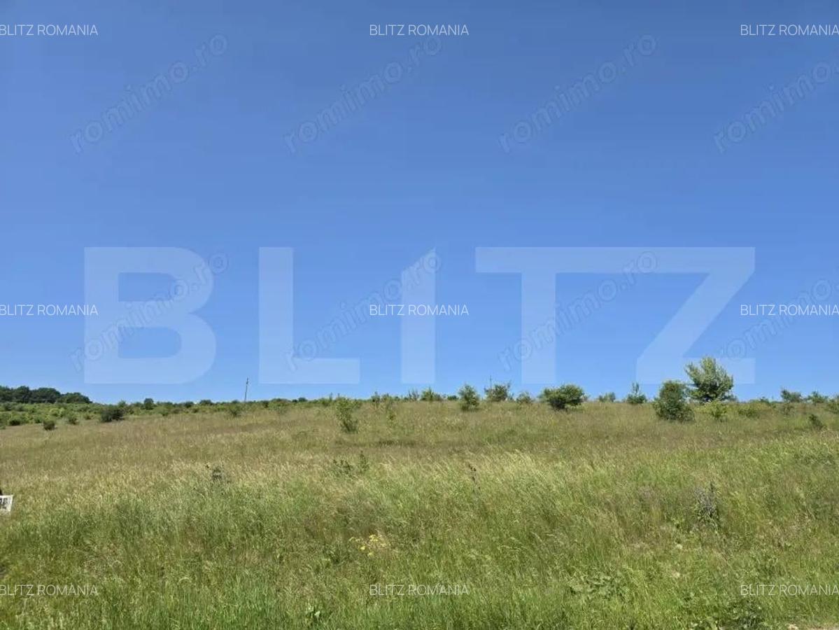 Teren intravilan construibil in Salicea - 6