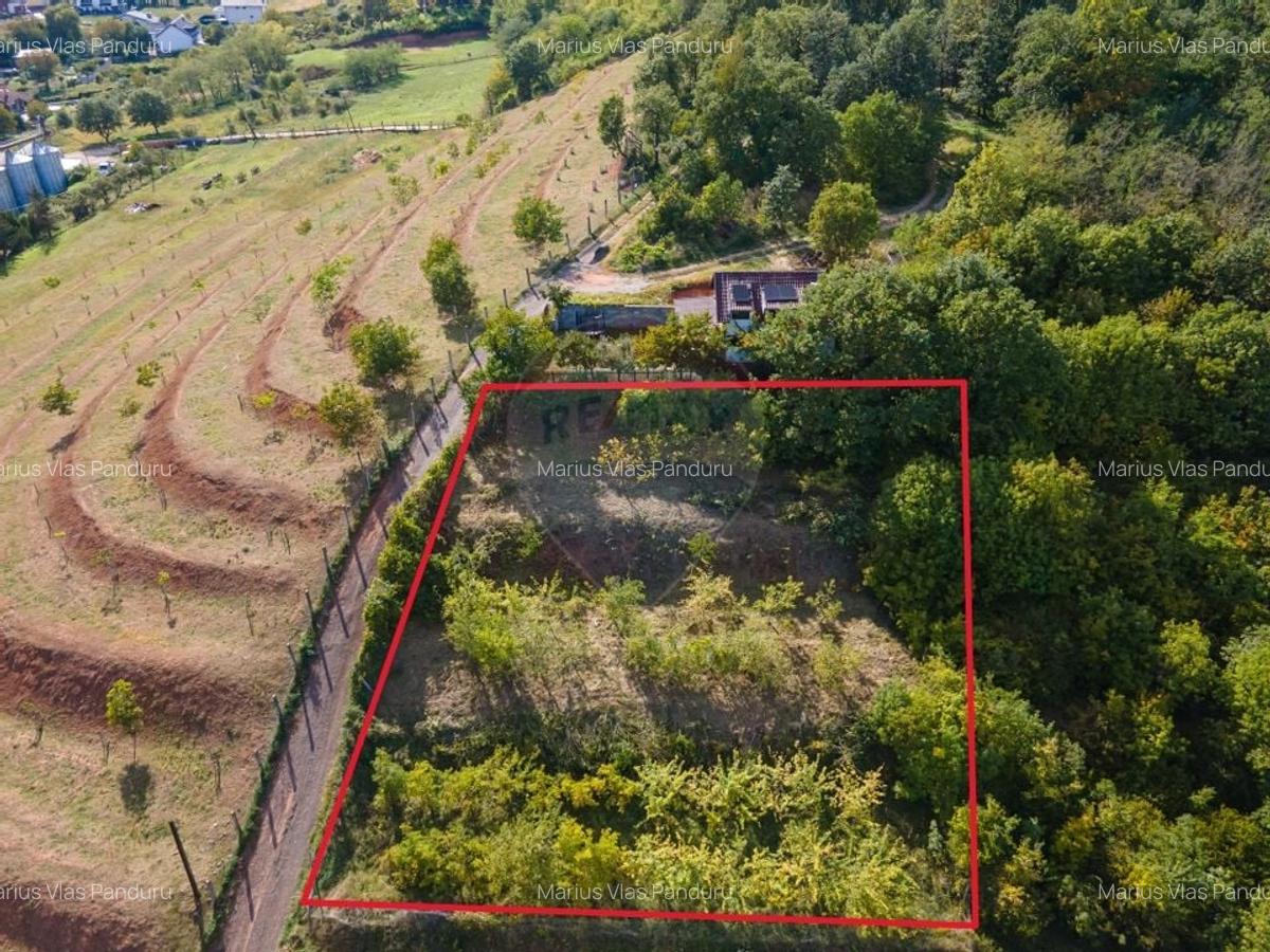 Teren de vanzare exclusivist in Alba Iulia COMISION 0% - 7
