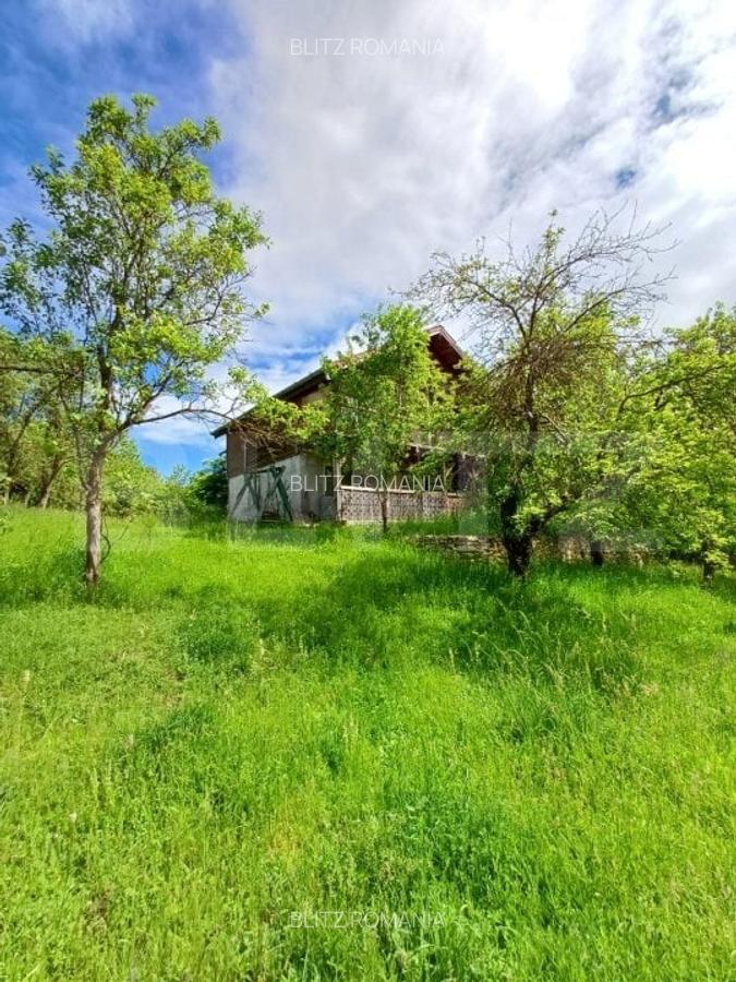 Casa 3 camere si teren 4873 mp  in Pietroasa, Moldovenești - 18
