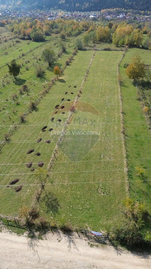 Teren de vanzare in Leresti - ideal pentru casa sau pensiune la munte - 4