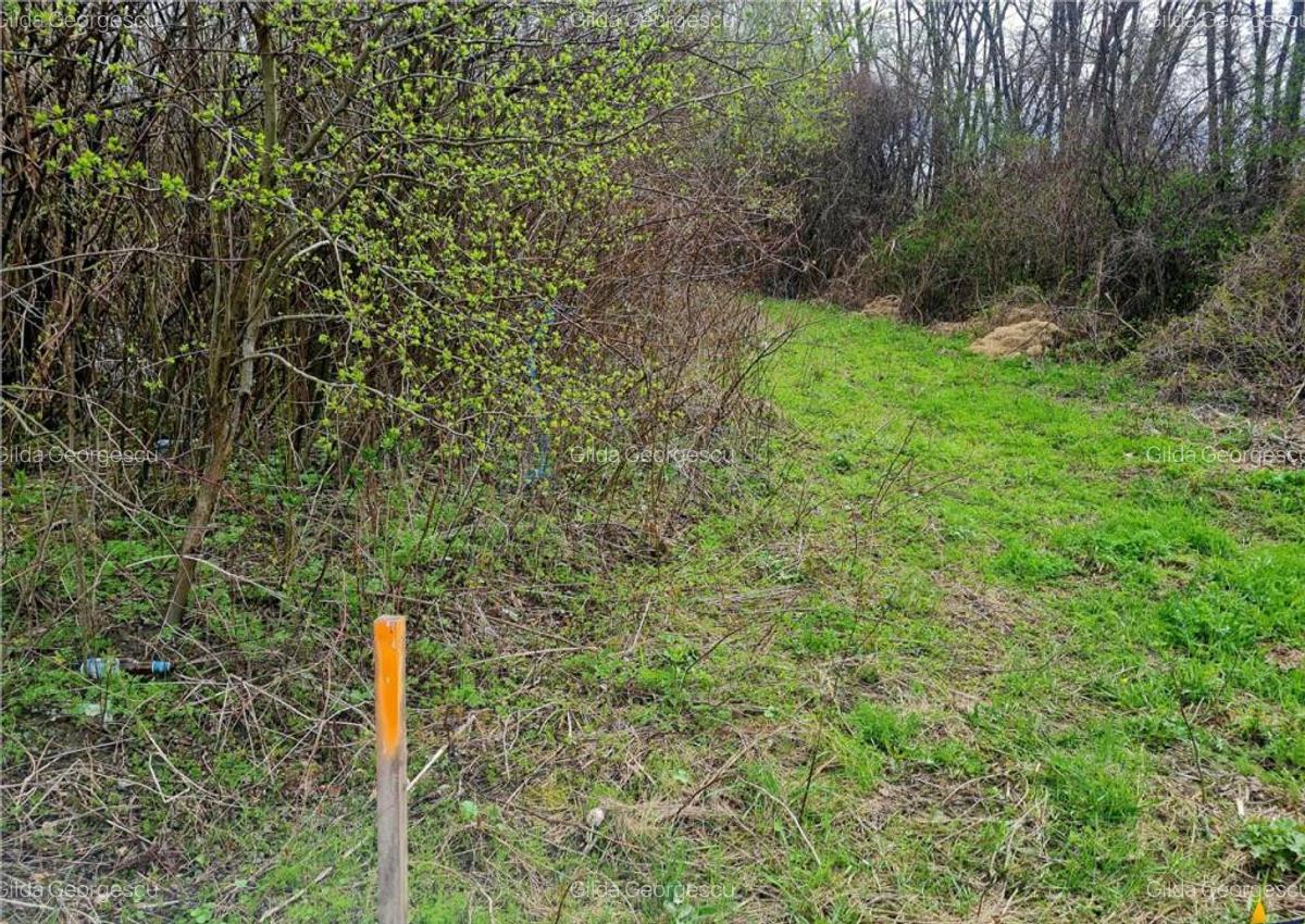 Teren 1.700 mp intravilan, natura, vecinatati bune, potentia - 4