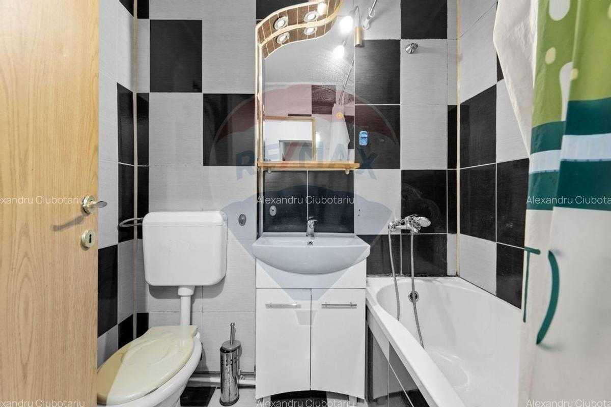 Apartament cu 3 camere de inchiriat - zona Boul Rosu - 8