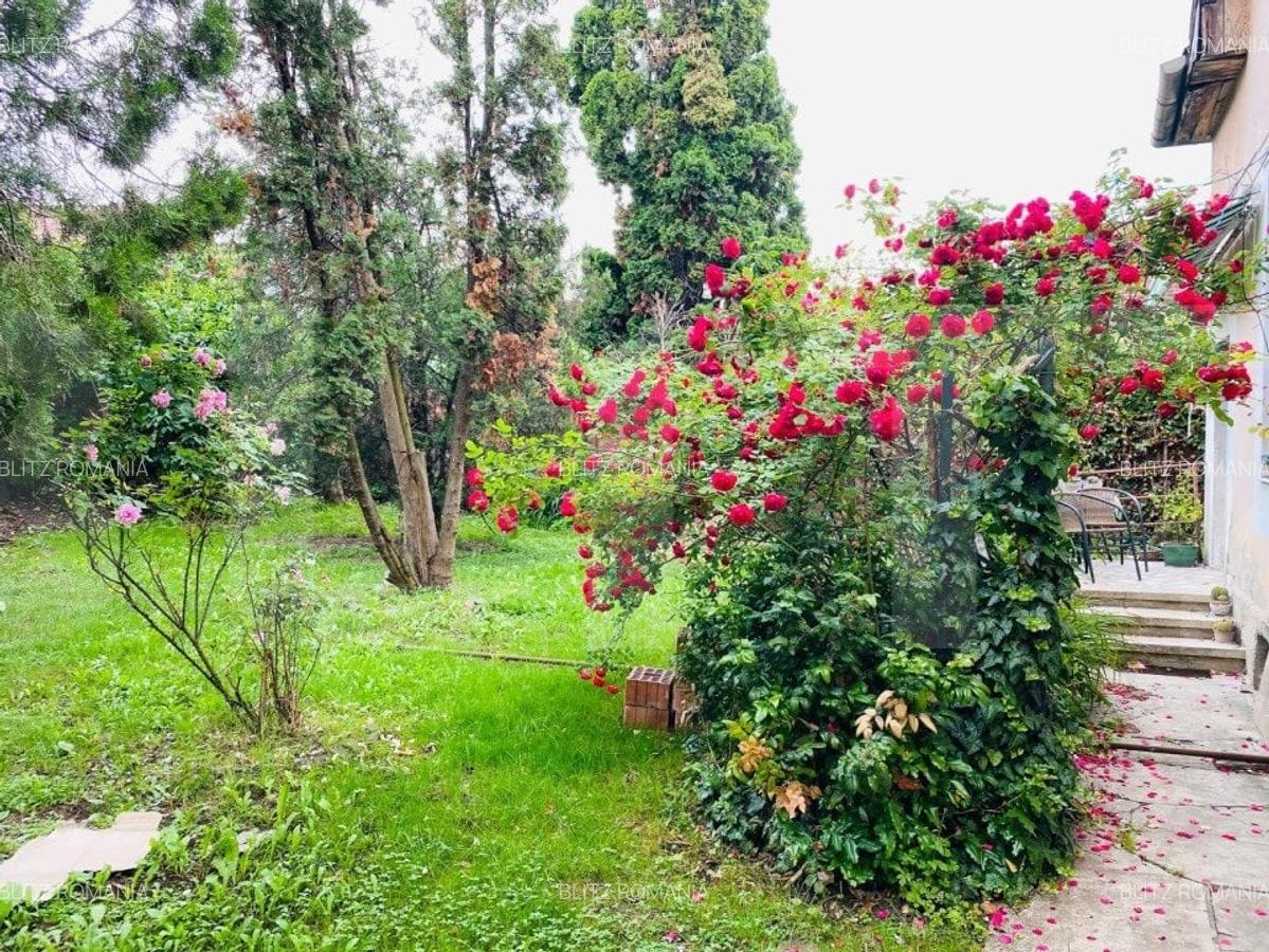 Casa individuala, 180 mp utili, 600 mp curte, parcari, zona strazii Gruia - 5