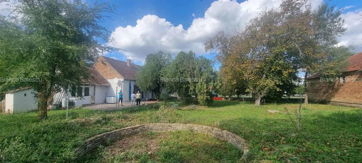 Casa de vanzare in Serbia, sat Vojvoda Stepa (10 minute de vama cu Jimbolia) - 9