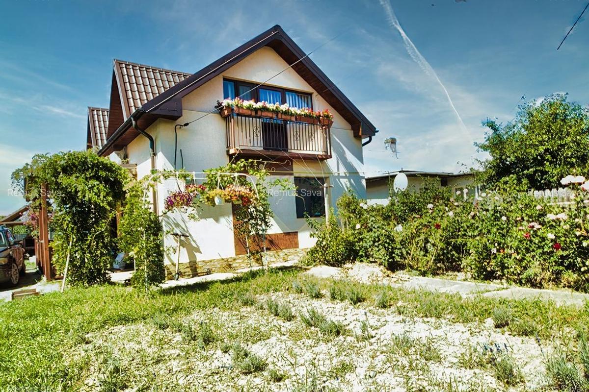 Casa de vanzare in Podu Iloaiei - 1